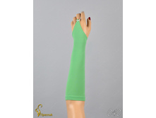 040 an42017-00036.jpg