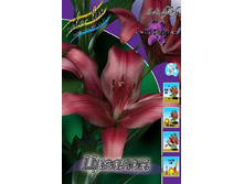 ������� 25,00.jpg