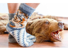 ������� ��������� ����� ���� �� �����