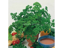 �������� ���������� 2 ��������,(��) 6,50 ���. [���.1000736]