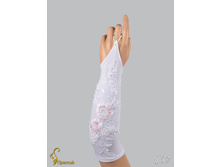 137 an4201g-00076.jpg