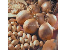 ��� �������� ������ ,(��) 7,50 ���. [���.7000218]