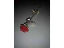 ������� ����.