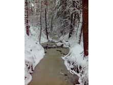 IMG 20151120 113503.jpg