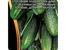 ������ ��������� �������� F1 ������.5�� ��� ��� �.� 45,00 ���. [���.��000000774]