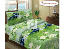 ������ �������