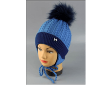 Image237.png