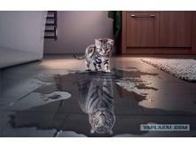 ���? ����!