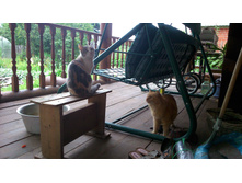 ������ � ���������� �� �������� ������