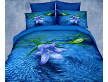 PX-11-3_5570 ���_���� �� �����_3710 ���