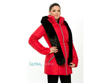 ������ ������������ ������. �������