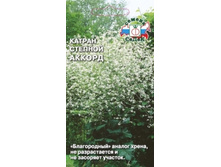 Katran-stepnoy-akkord n .jpg