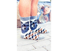 ��������� ����