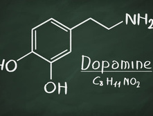 Dopamine-learning-motivation.jpg