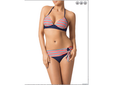 ��������� ������� WD161505 Indo.png