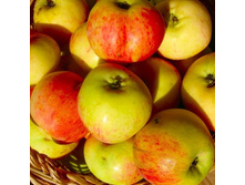 ������ ��������� ���������-350.jpg