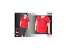 851,00		����_����� ���� 600,00 ���