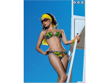 ��������� ������� WDT211402 Ferrara