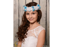 IPT2010-00016 IPT2-010   250�.