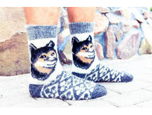 ���������� ����