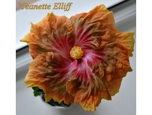 Jeanette Elliff