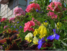 DSCN3770.JPG