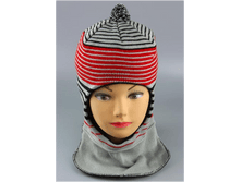 Image253.png