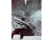 IMG 20151120 110348.jpg