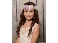 IPT2017-00007 IPT2-017   250�.