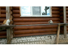 ������������� �������� �� �����