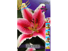 ������ 35,00.jpg