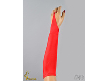 043 an42017-00067.jpg