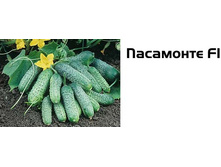 ������ ��������� F1 ������ 36,71 ���.[���.10000718]