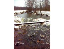 IMG 20151116 123609.jpg