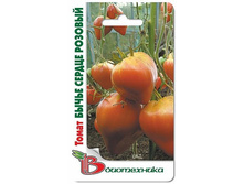 ����� ����� ������ �������  12�