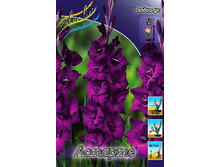 ������� 12,00.jpg