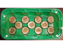 ������ � ��������� ���������� 11���� (��������) (�������) ���00061163 73,92.jpg