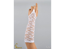 144 an4201000016.jpg