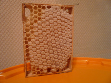 ��������� �������� ����.JPG