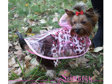 NEW!!! Rain001-3 ������� - �������� 'NH'