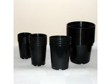 ������ ��� ������� 16�12 ���� ���� 1,7� ���00027016 10,34.jpg