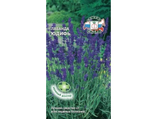 Lavanda-yudif agp .jpg
