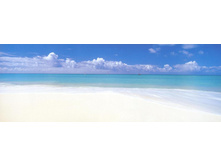 4-712 Komar-Deserted Beach �������� 368-127cm 969���.jpg