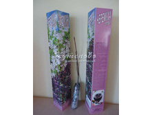 ��ң���� �������� ��������� ��������	30-50�� 245.00 ���.