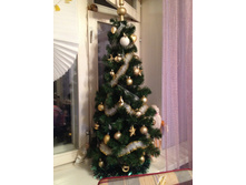 ��� �0��� ������� ��������� �������� (2015���)