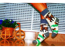 ������� ��������� ����� S038