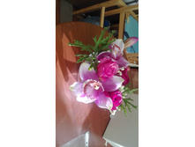 IMG 20151020 103426.jpg