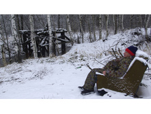 ����� � ���������� ����� ����