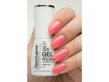 Dance Legend ����-��� 022 Self-Confidend