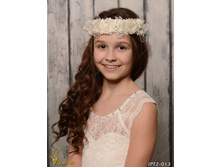 IPT2013-00007 IPT2-013   250�.